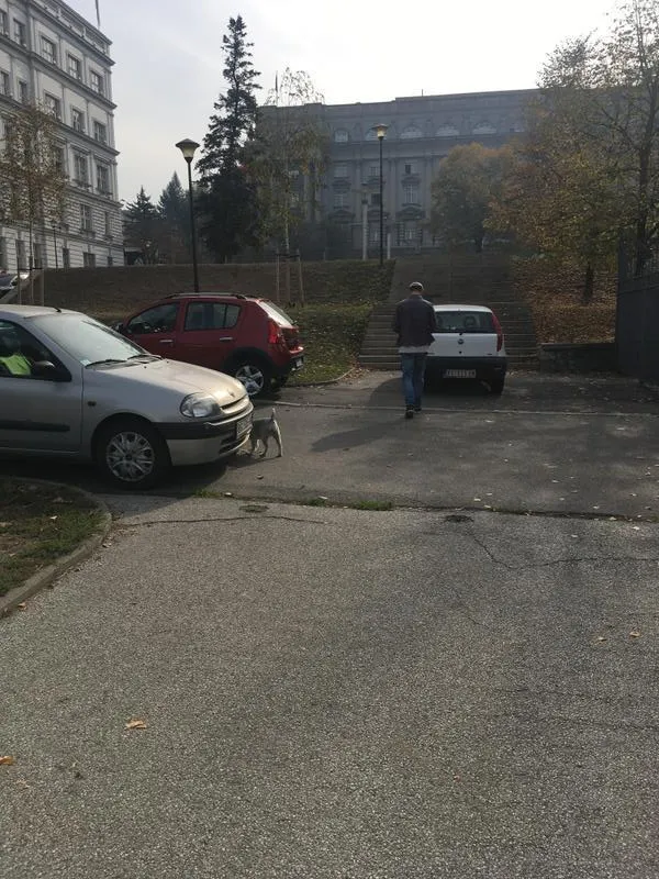 Walking in belgrade