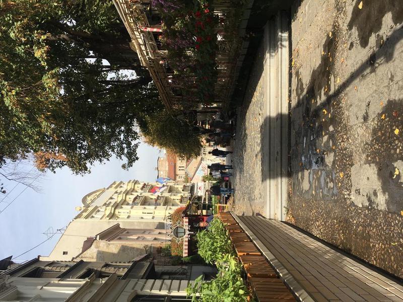 Walking In Belgrade
