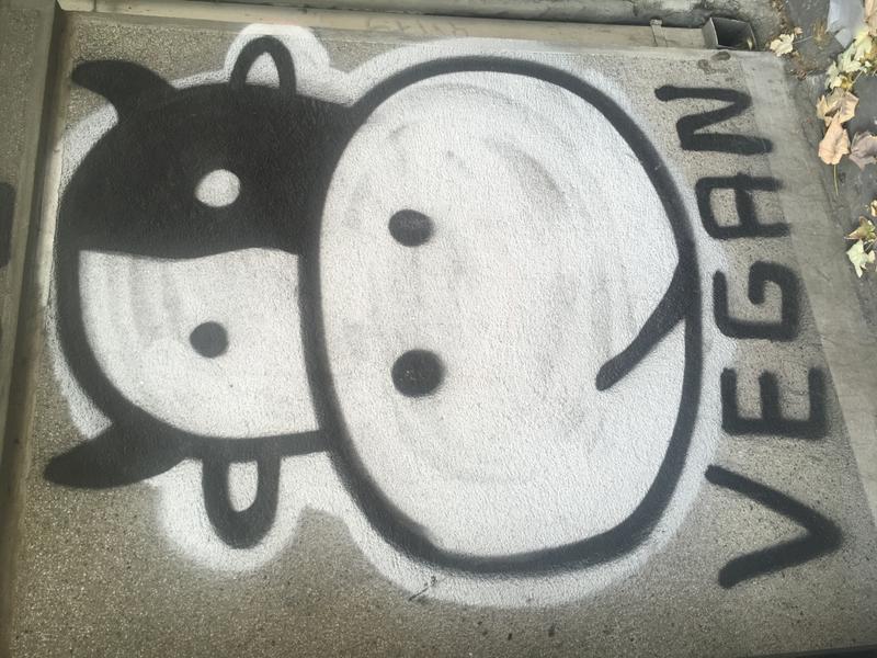 Walking in belgrade