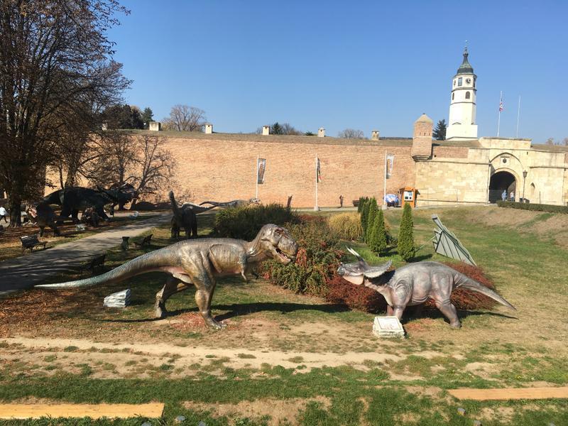 Belgrade To Osijek